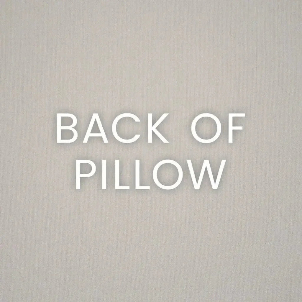 Outdoor Duality Pillow - Capri