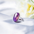 The Visualization Ring